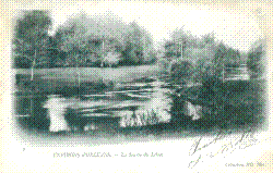 ND 009.jpg